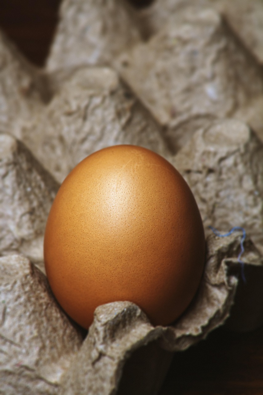 eggs, ingredients, baking, food, egg carton, raw, cooking, healthy, eggshells, protein, whisk, cookbook, recipe, food prep, baking ingredients